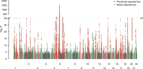 GWAS Meta Analysis