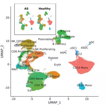 Single Cell Transcriptome